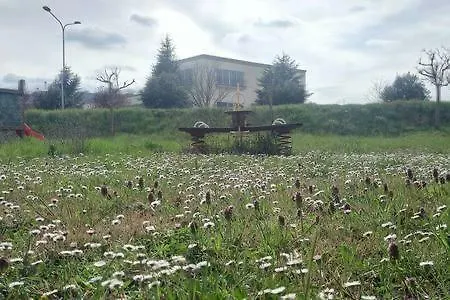 Da Elena E Chiara Maison d'hôtes *
